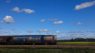 Alberta Train on the way to Edmonton