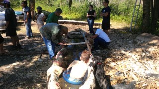 Dugout Canoe - lots of action