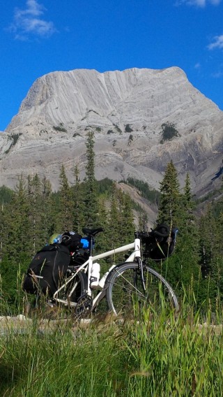 Jasper National Park- Pocahontas and caribou