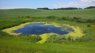 Little Pond in Alberta